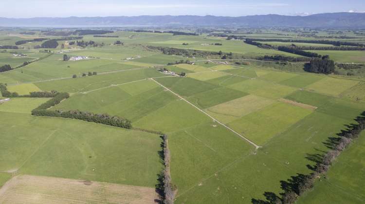 2556 State Highway 53 Martinborough_0