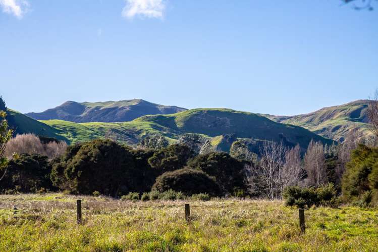 Lot 2 Pack Spur Road_5
