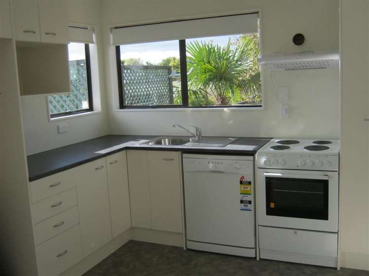 87 Domain Road Tauranga_2