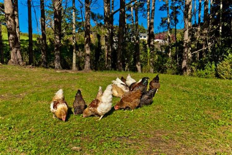 1055 Scenic Drive Swanson_20