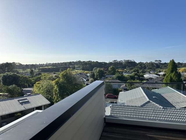 54a Monteith Crescent Remuera_1