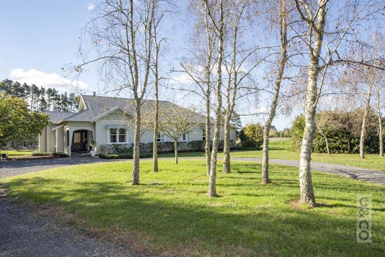 49 Dysart Lane Kumeu_6