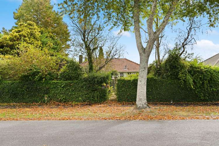 61 Holland Road Fairfield_23