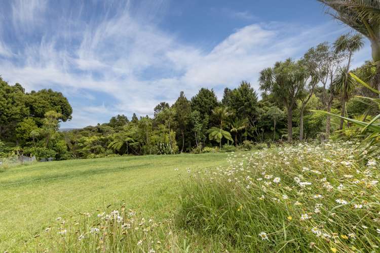 16 La Trobe Track Karekare_38