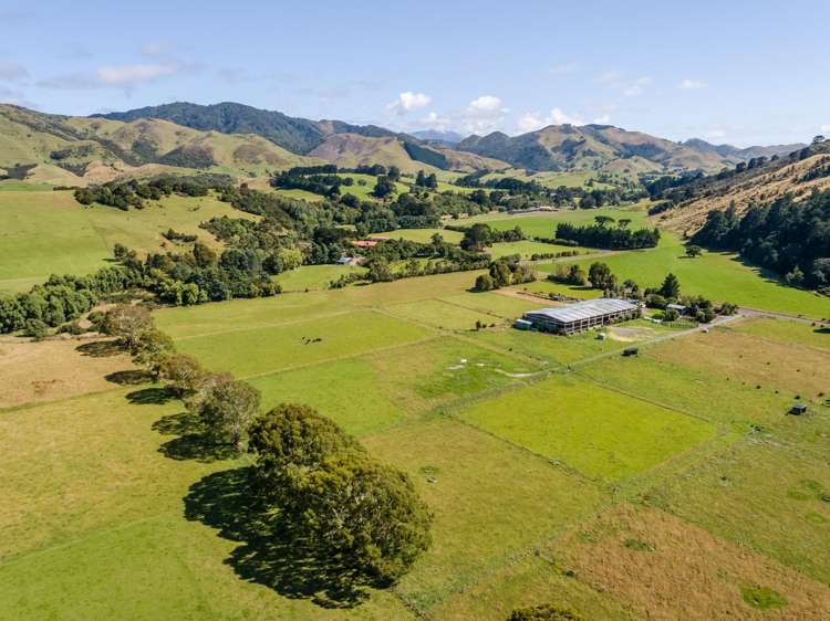 89 Hinau Gully Road Carterton_19