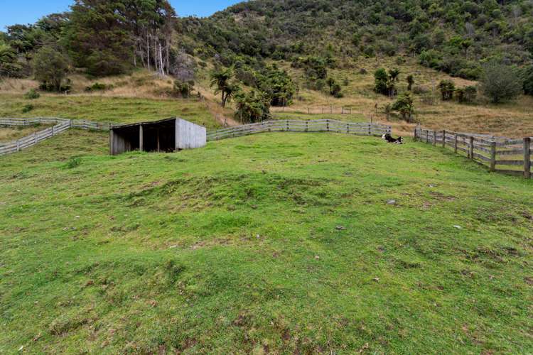 376 Te Waiti Stream Road Opotiki_11