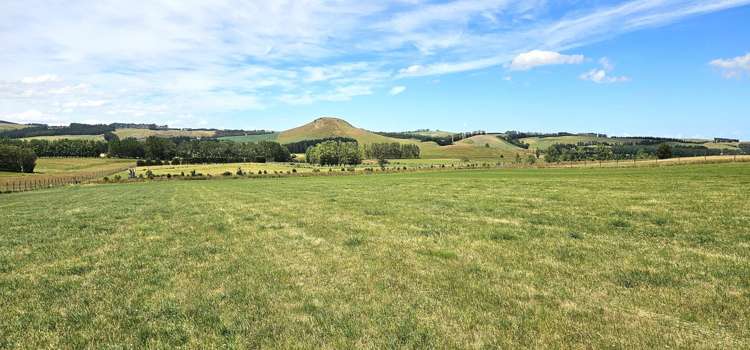 391A Otama Road Otama_17