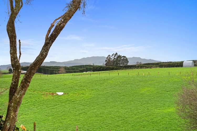 152 Te Kawa Road Te Awamutu_19