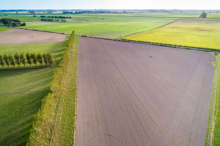 1043 Lockwood Road Kairanga_6