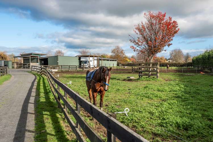 2/101 Racecourse Road Cambridge_10