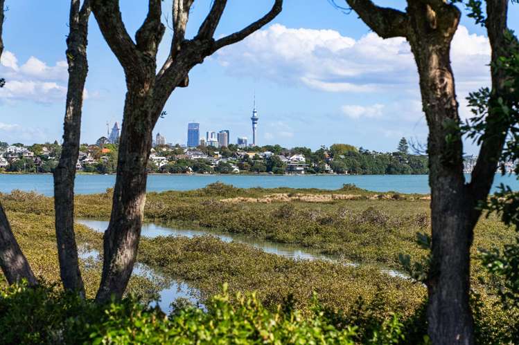 6A Pine Ridge Terrace Hauraki_11