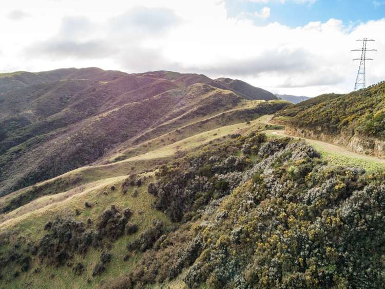 200 Parkvale Road Wilton_10