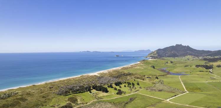 85 Blue Horizon Road Whangarei Heads_0
