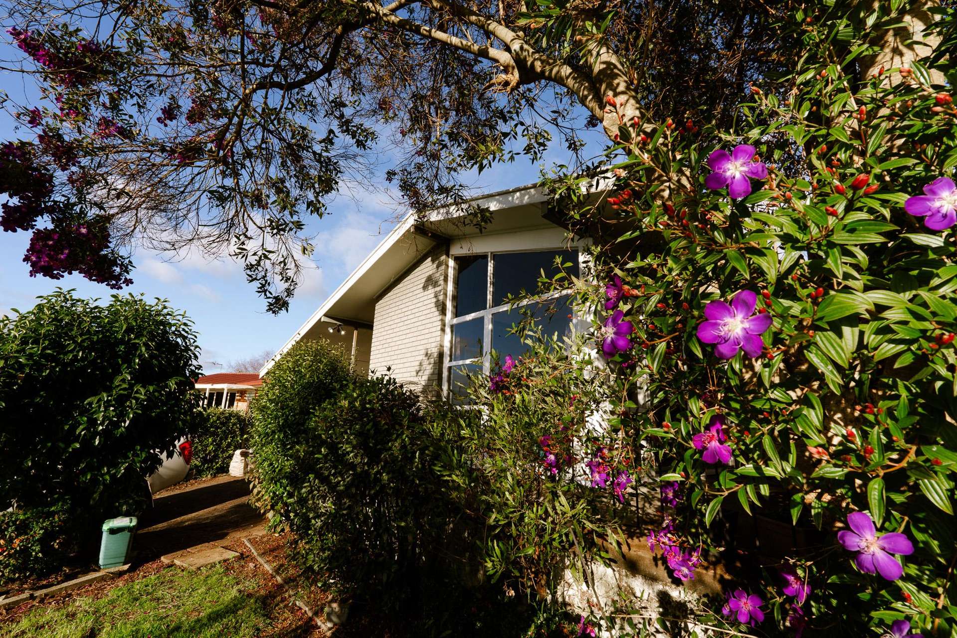 6 Magenta Place Dinsdale_0