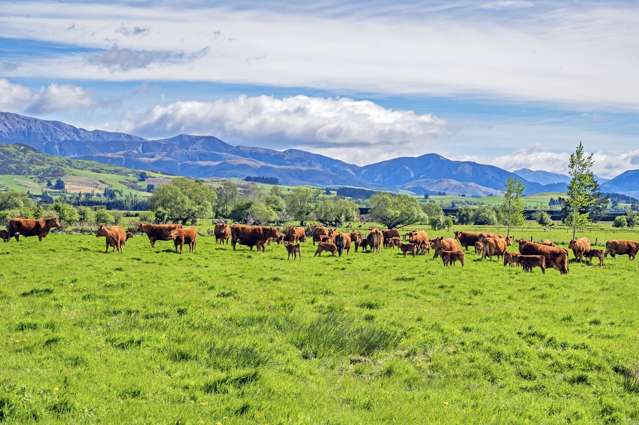 677 Pig Saddle Road Sheffield_3