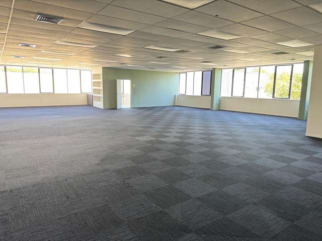 533 Anglesea Street Hamilton Central_3