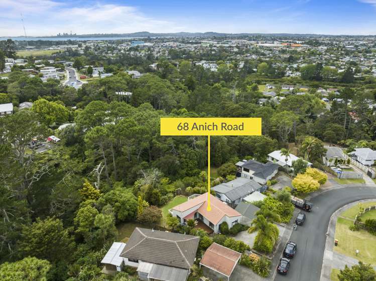68 Anich Road Massey_18