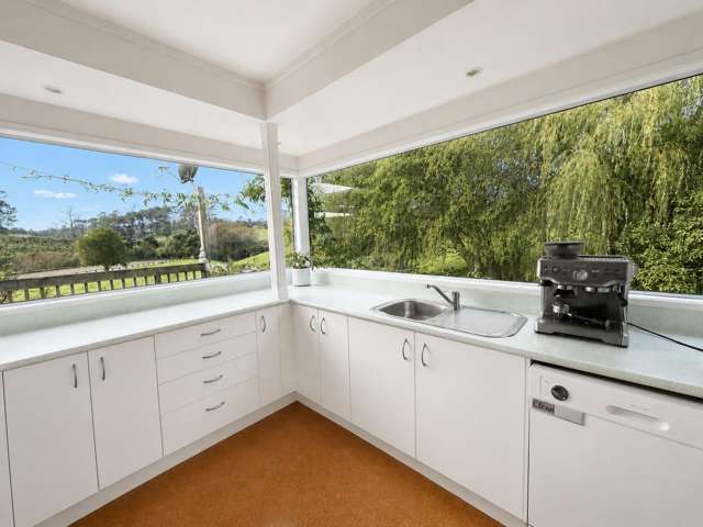 348A Horseshoe Bush Road Dairy Flat_1