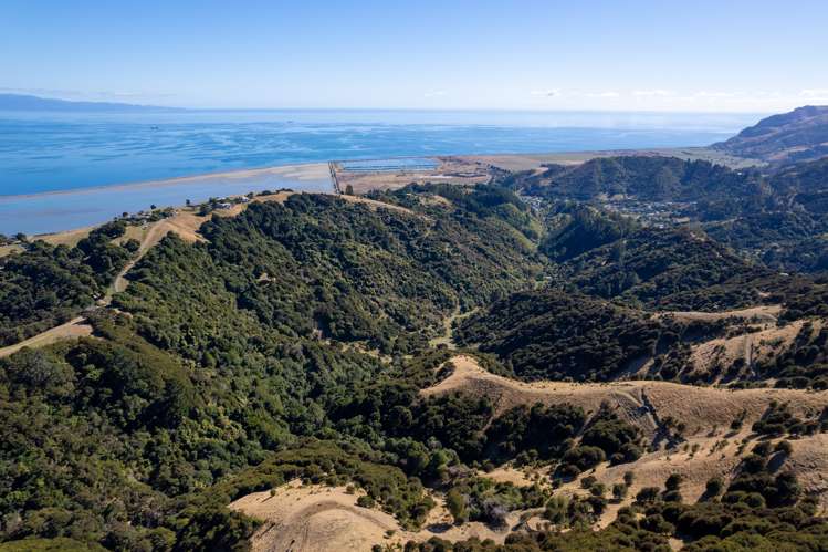 117 Little Todd Valley Road Todds Valley_23