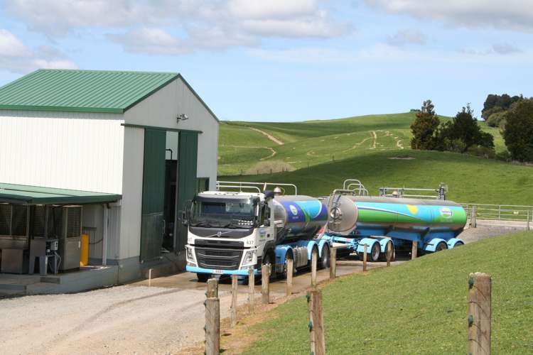 118 Huirimu Road Wharepapa South_11