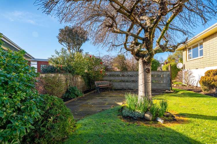 52 Kauri Street Highfield_5