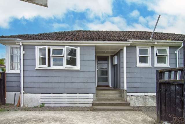 17 Matai Street Lansdowne_3