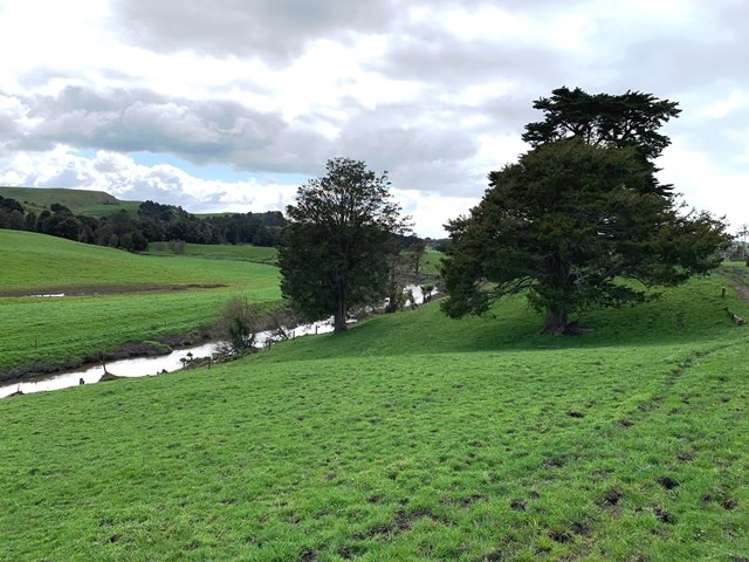 Maxwell Road Maramarua_12