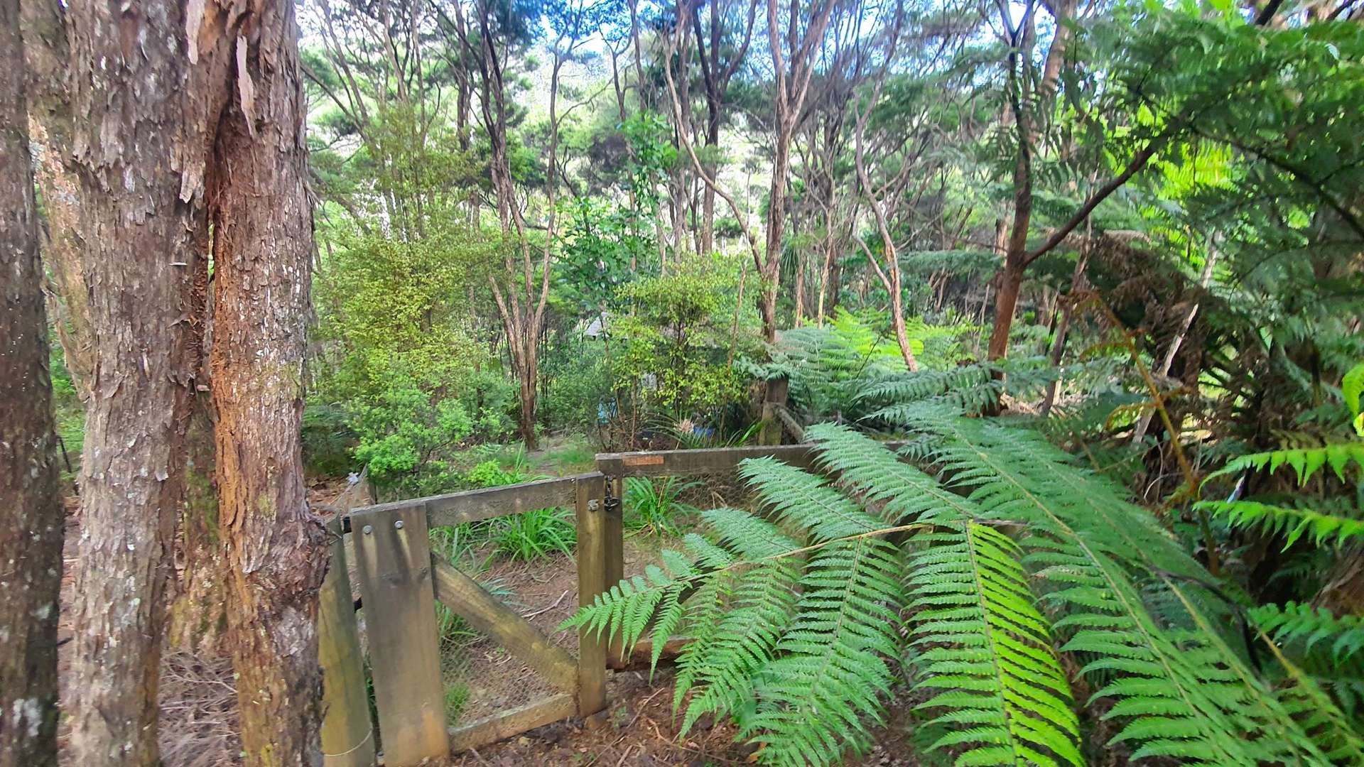34 Schoolhouse Bay Road Kawau Island_0