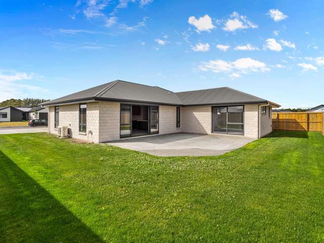48 Ashbury Drive Tinwald_2