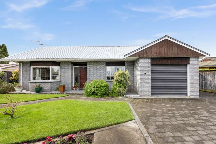 28a Auckland Road Greenmeadows_14