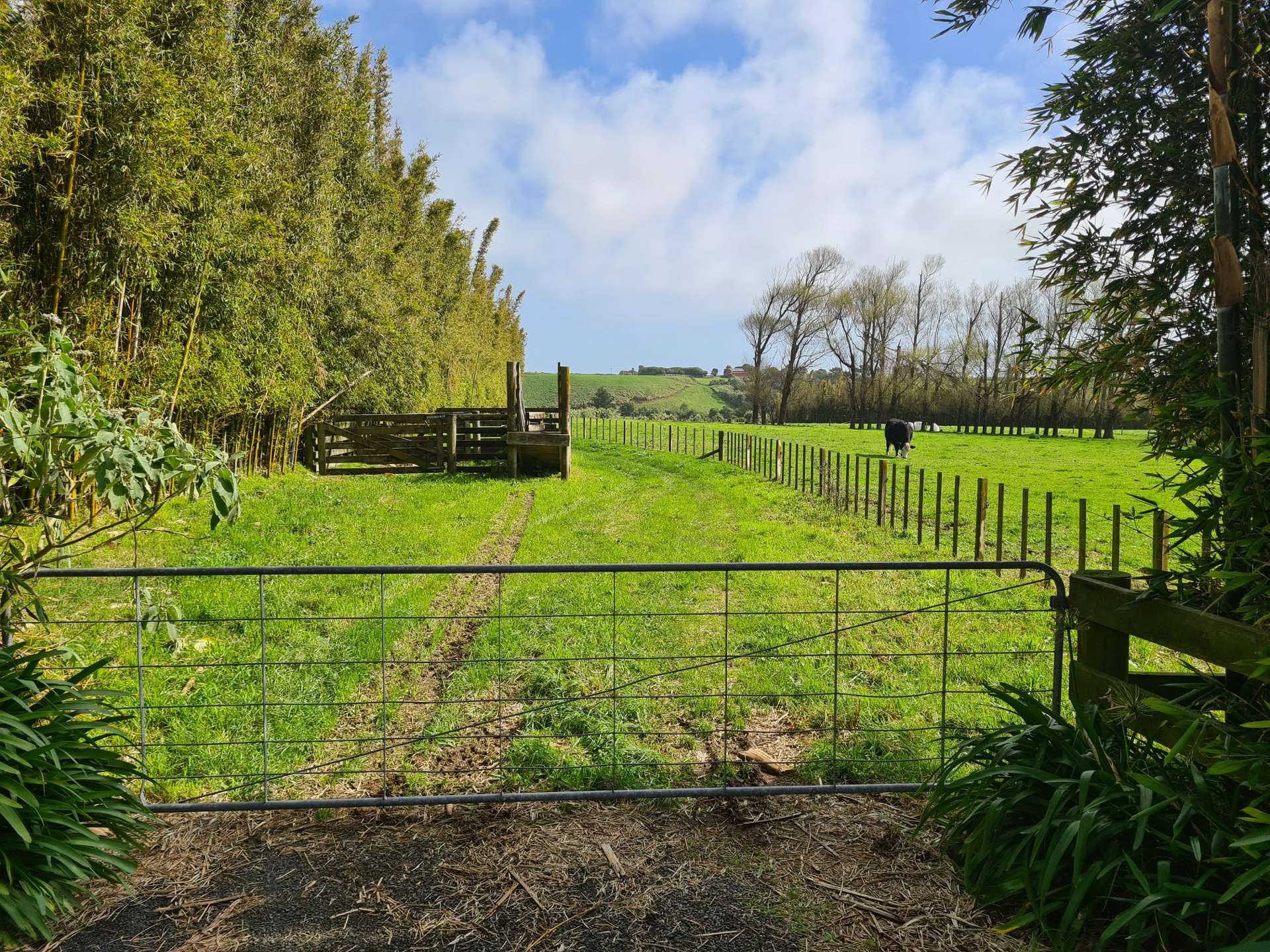 Lot 2, 283 Lower Weld Road Tataraimaka_0