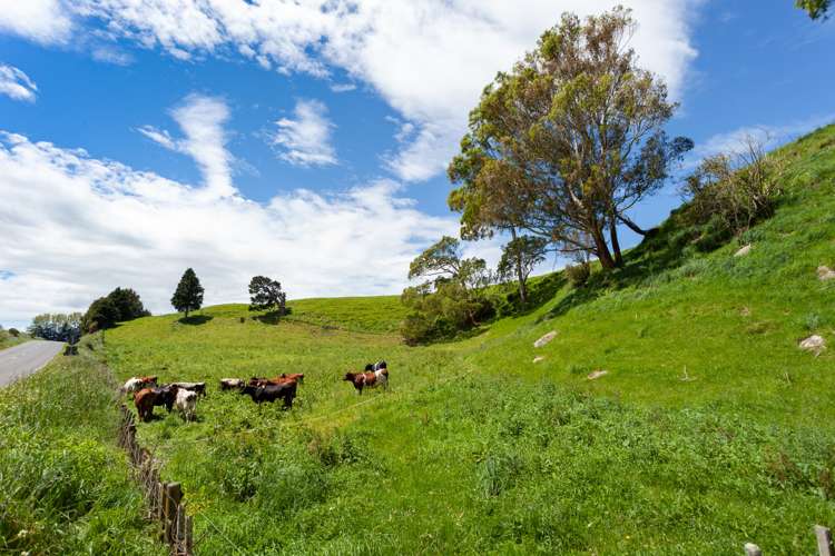 Waotu Road Putaruru_13