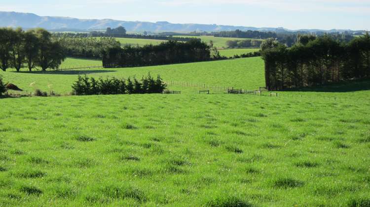 1010 Glenkenich Road Gore Surrounds_6