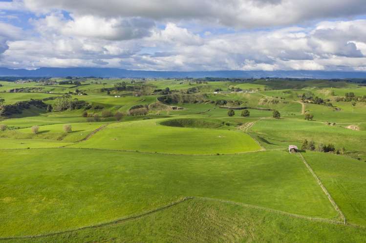 Piakonui Road Richmond Downs_21