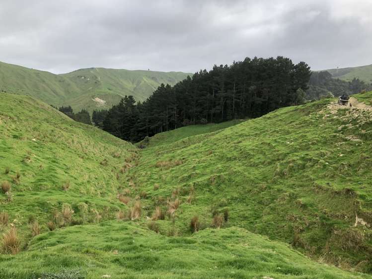 337 Saunders Road Eketahuna_25