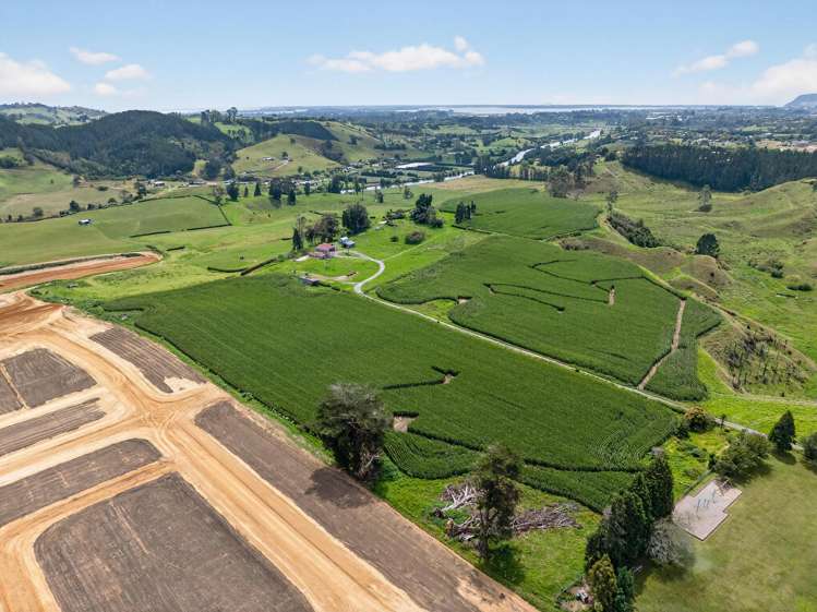 764 SH 29 Ferncliffe Farm Tauriko_12