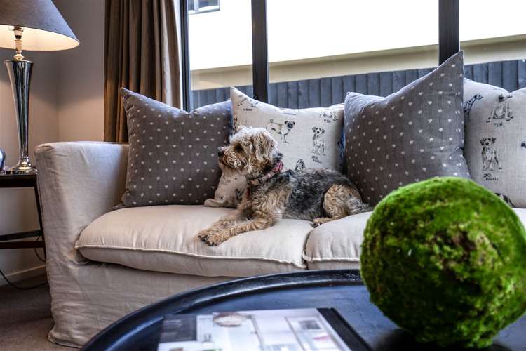 4/67 Brockworth Place Riccarton_0