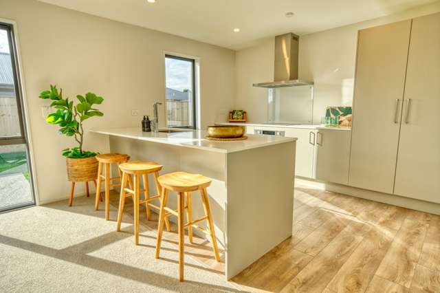 51 Ashley Drive Paroa_3