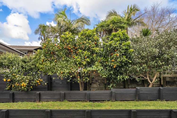 16 Pickwick Parade Mellons Bay_29