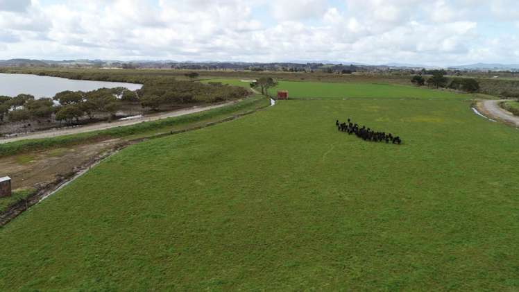 403c Kumi Road Awanui_9