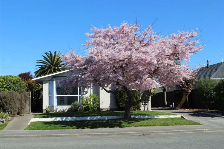 43 Skerten Avenue Hornby_19