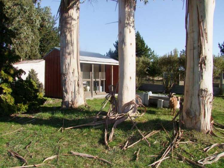 107 Waitahuna Gully Road Waitahuna_16