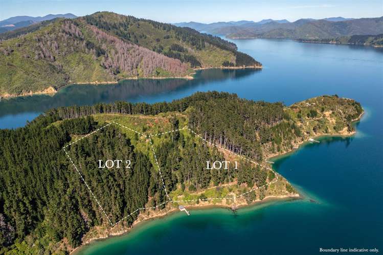 Lots 1 &amp; 2 Ahitarakihi Bay_0