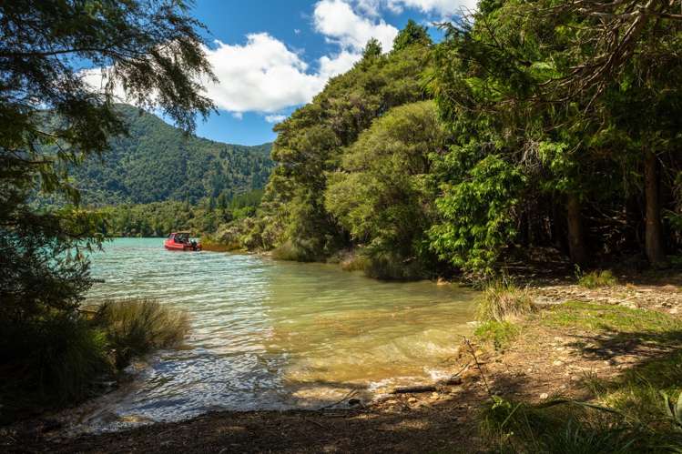 1 Nydia Bay Pelorus Sound_17