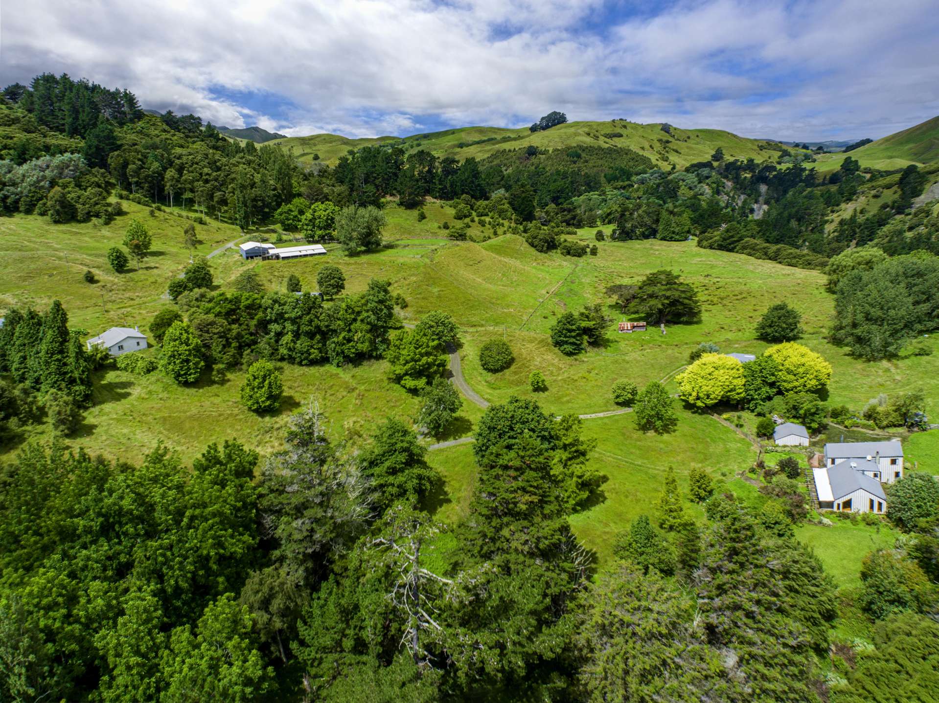 1131 Whakarau Road Te Karaka_0