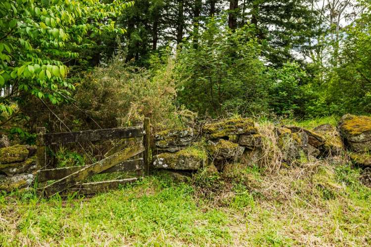 41 Wharau Road Kerikeri_32
