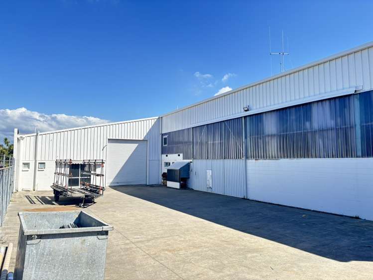 66 Birch Avenue Judea_11