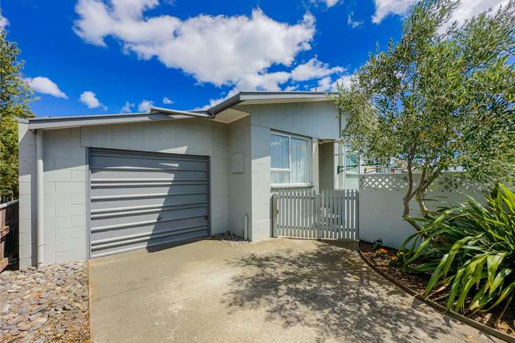 210A Maxwell Road Blenheim_2