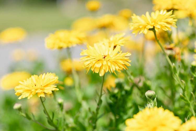 10 Lampard Street Methven_26