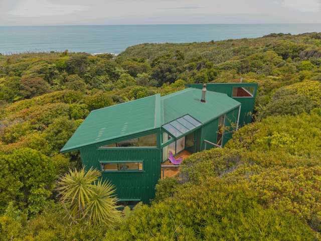 8 Ross Place Te Miko_1